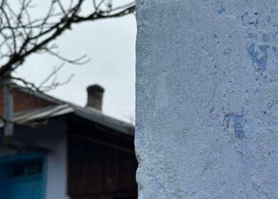 Значить, для рідної племінниці часу не знаходиться, а для чужої – завжди можна виділити? – родичі не можуть зрозуміти, чому я так сильно прив’язалась до Софійки. Хоча вона з дитбудинку і не є нашою рідною