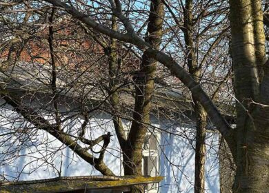 Дмитро вирішив навідатися до батька. Відчинивши двері своїм ключем, він увійшов у коридор. – Тату, ти вдома? – покликав Дмитро. – О, нарешті приїхав! – з усмішкою зустрів його Іван Сергійович. – Вечеряти будеш? – Не відмовлюсь, після роботи ще нічого не їв, – відповів Дмитро. – На плиті голубці остигають. Йди, вечеряй, а я телевізор подивлюся, – сказав Іван Сергійович, якось підозріло. Знявши куртку і роззувшись, Дмитро попрямував на кухню. Відчинивши двері, він застиг на місці від побаченого
