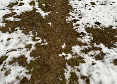 Коли я травмувала ногу, сподівалася, що зять і донька підставлять плече. Адже я не раз допомагала їм, а з онучкою завжди на ногах. Та їх реакція вразила мене – я не могла стримати сліз розчарування.