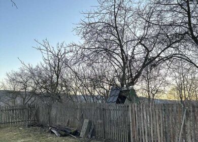 Оля йшла додому після роботи, усміхнена та задоволена. Біля під’їзду її зустріла сусідка. – Оля, чому не на роботі? Тебе що, звільнили? Оля лише кивнула і продовжила йти додому. Вечір, коли повернувся чоловік, почав розмову ще до того, як вона встигла щось сказати. – Як це так, що я дізнаюся про твоє звільнення від сусідки? Оля мала намір пояснити все, але вирішила почекати з відповіддю