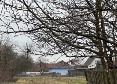 Валентина поспішала на роботу, коли раптом зрозуміла, що забула телефон вдома. Вона вирішила повернутися, зайшла в ліфт і… раптом він зупинився на восьмому поверсі. Ліфт застряг, і Валентина залишилася всередині, чекаючи на допомогу. Та раптом почула голос свого чоловіка Григорія, який говорив з кимось у коридорі. – Моя кохана, – лагідно говорив він. – Як я тебе чекаю, не можу дочекатися, коли ми знову будемо разом! – Сьогодні ввечері, – відповіла жінка, в її голосі відчувалася ніжність. – Чекаю тебе після десятої. – Твій чоловік знову на нічній? – запитала жінка. – Так, він цілий тиждень на нічних змінах, – відповів Григорій. Валентина не могла повірити своїм вухам.