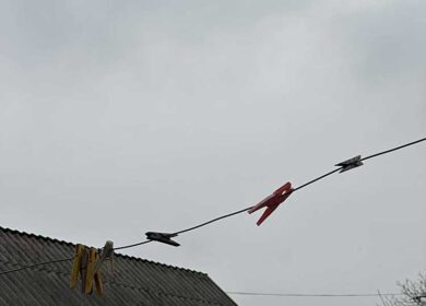 Андрій сидів за комп’ютером, коли раптово почув дзвінок у двері. Неохоче підвівся і попрямував до дверей. На порозі стояв його тесть, Юрій Ігорович. – Доброго дня, – привітався Андрій. – Привіт! А я ось завітав до тебе в гості, – відповів тесть, вже роззуваючись у коридорі. – Це приємно, ось тільки Оля поїхала в відрядження, а я тут працюю, – сказав Андрій, намагаючись посміхнутися. – Я ж не до Олі прийшов, а до тебе! – серйозно заявив Юрій Ігорович. – Ти готовий?! – Готовий до чого? – здивовано перепитав зять, не розуміючи, про що йдеться