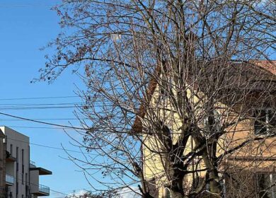 – Ось я правильно вчинив! Взяв неідеальну, а її батьки нам і квартиру, і машину подарували! Усі мене на руках носять! А коханок то ніхто не відміняв!