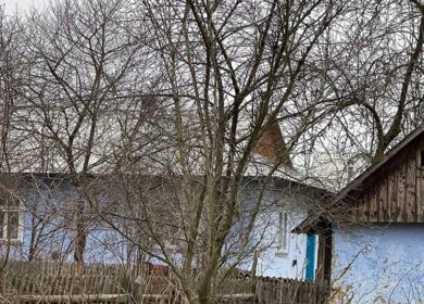 Надія Василівна насипала зерно курям, трохи підмела подвір’я і вирушила на кухню. Відчувши голод, вона вигукнула: – Ой, вже дев’ята, а я навіть не вечеряла! Швидко почистивши картоплю, приготувавши легкий салатик і нарізавши хліба, жінка сідає за стіл. Та лише вмостившись, вона чує якийсь шум на подвір’ї. – Не може бути, хтось прийшов так пізно? – здивовано прошепотіла Надія Василівна. Вона повільно встала з-за столу й уже направлялася до дверей, коли раптом вхідні двері відкрилися самі по собі. Надія Василівна подивилася на поріг і не повірила своїм очам