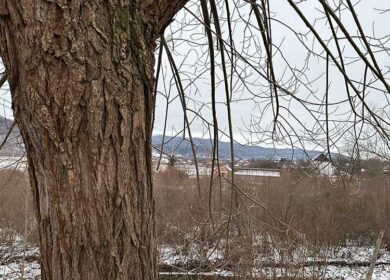 Сергій прокинувся, розтягнувши тіло в приємному потязі, і сів на ліжку. Ноги зачепили м’які капці – вони були від мами. Потім чоловік швидко накинув халат і вирушив на кухню, щоб поснідати. Сніданок пройшов швидко, і ось уже він у змінному одязі, готовий вирушати на роботу. Вулиця поступово наповнювалася світлом. Сергій не поспішав, їхав знайомими вулицями, занурений у свої думки. Раптом він опинився в невеликій пробці на світлофорі. Зелений сигнал мигнув вдруге, але машина зрушила лише на кілька метрів, знову зупинившись. Підсвистуючи від роздратування, він почав барабанити пальцями по керму і випадково глянув на зупинку, що була зліва. Погляд спинився, коли він помітив щось, що змусило його затихнути