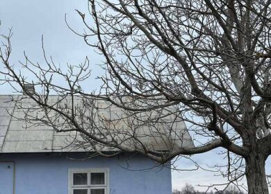 – Саша, я не залишу тобі цей будинок у спадок! Твоя сестра потребує його більше! – Мама здивувала мене своєю заявою. І все це після всього, що сталося…